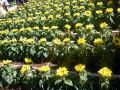 2010 05 24 jeanmarcperfetti.com 070.JPG